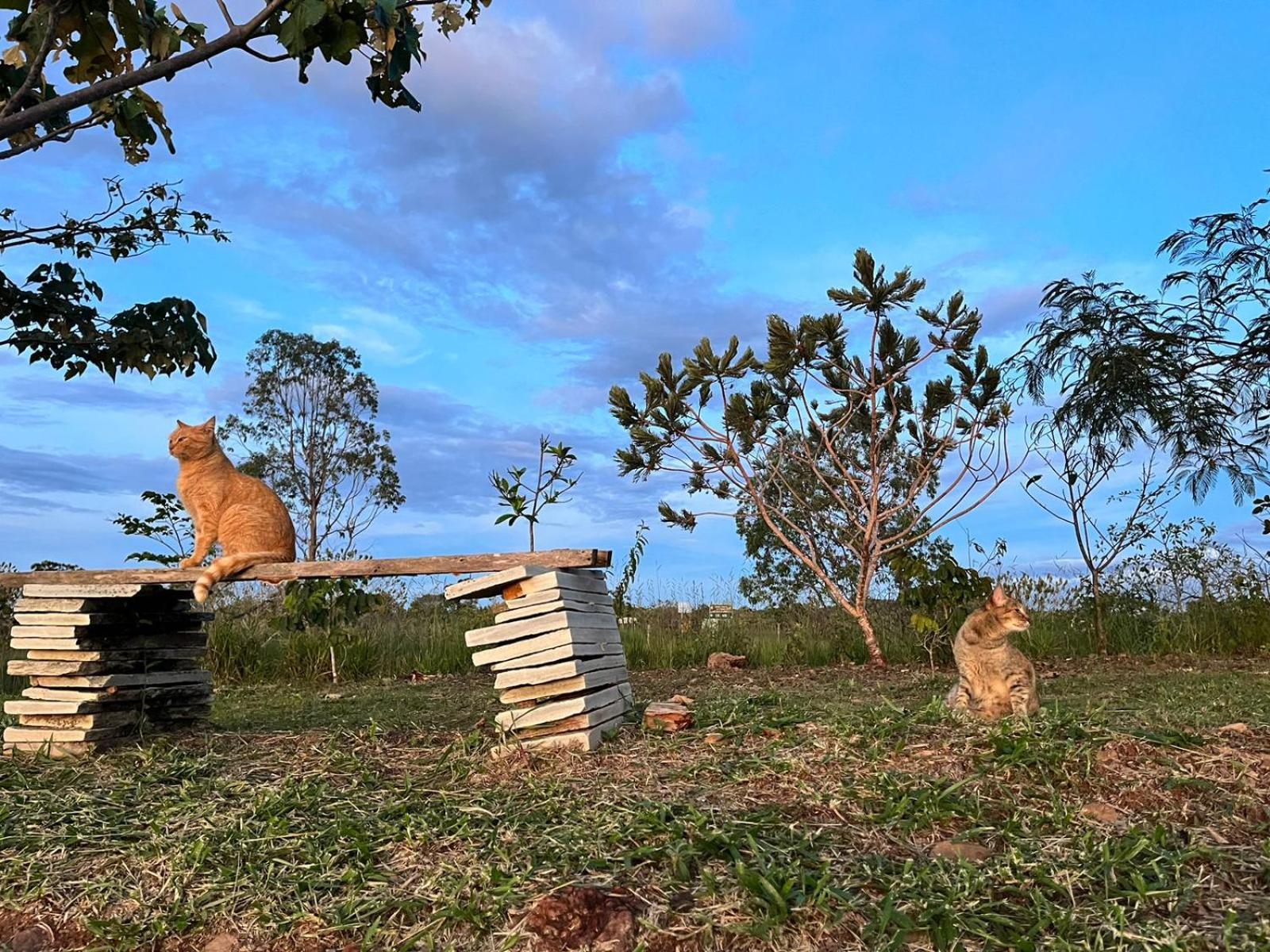 Pousada Refugio Da Serra ปิเรนนอโปลิส ภายนอก รูปภาพ